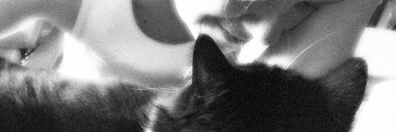 chaton111's profile banner image
