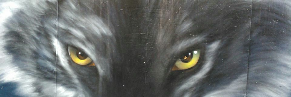 feb0_lob0's profile banner image
