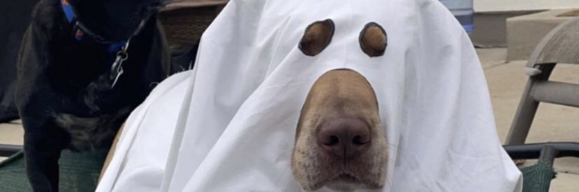 Jeahkleers's profile banner image