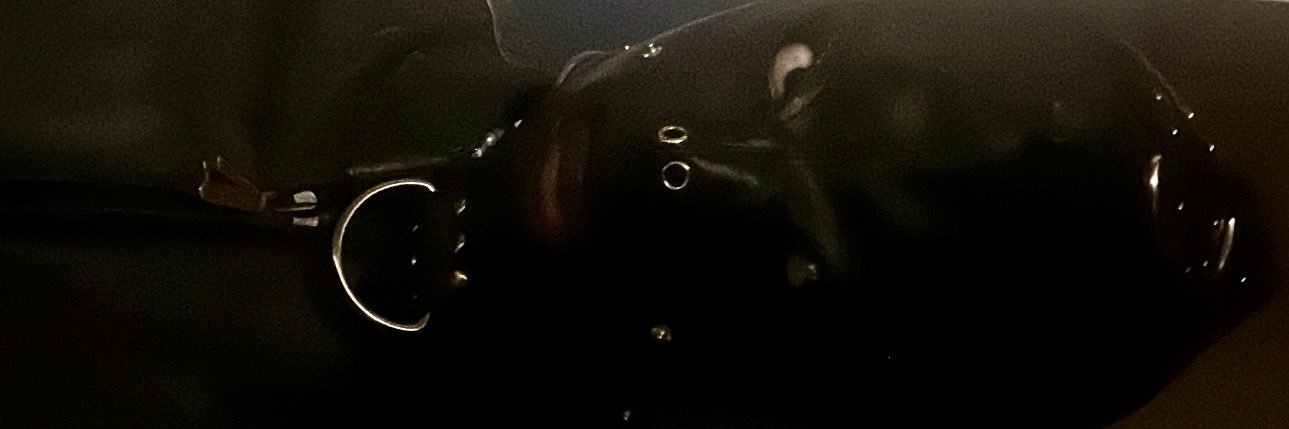 BertinyD's profile banner image