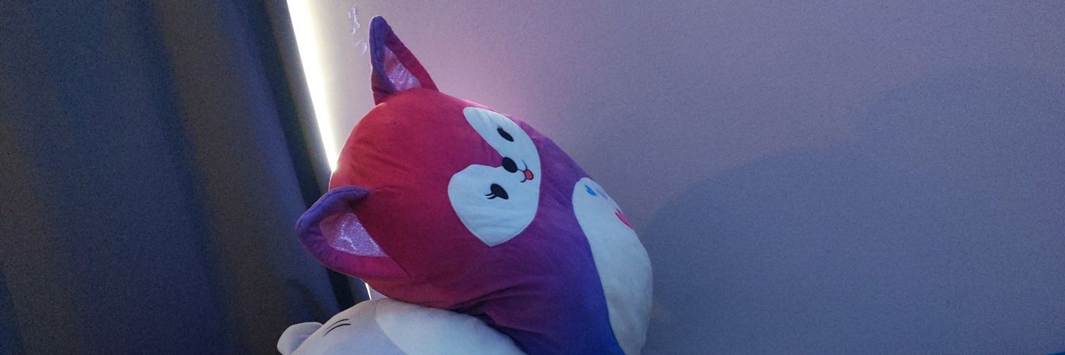 VaeFox's profile banner image