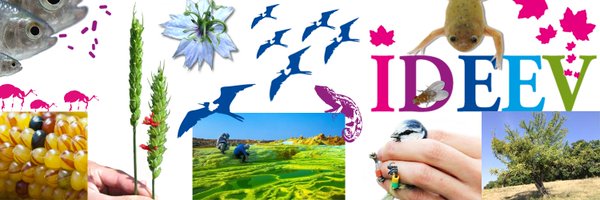 IdeevL Profile Banner