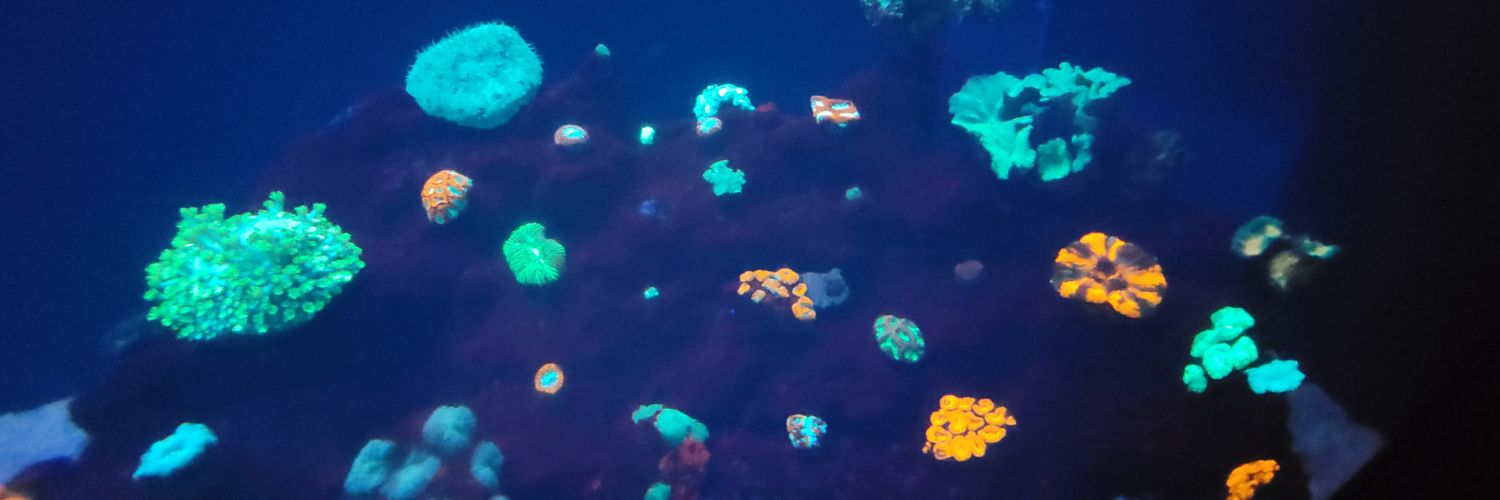 Nachiket Vartak banner