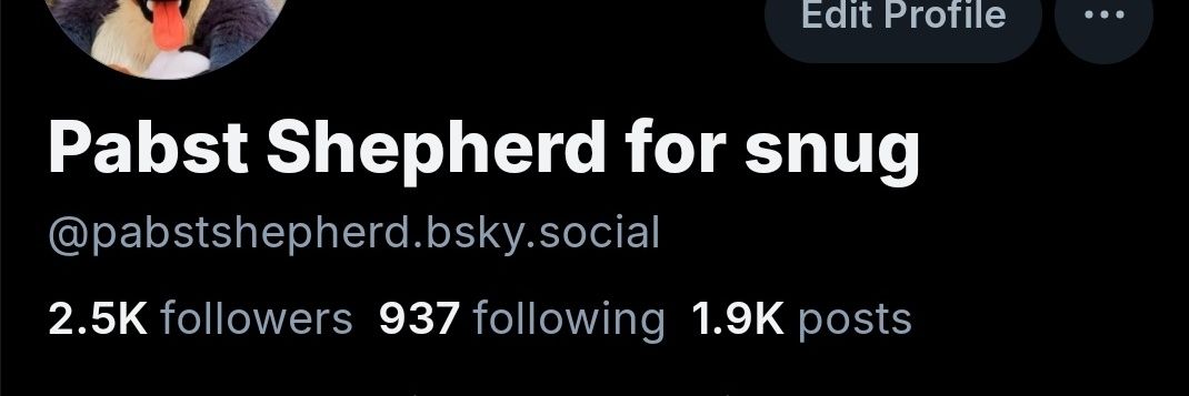 Mac the Husky banner