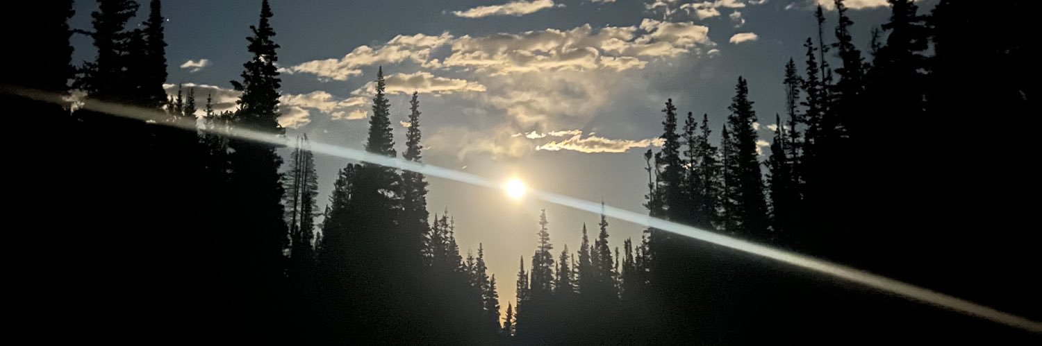 AliJohnson9's profile banner image
