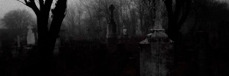 𝐊𝐲𝐥𝐞𝐧𝐧 banner