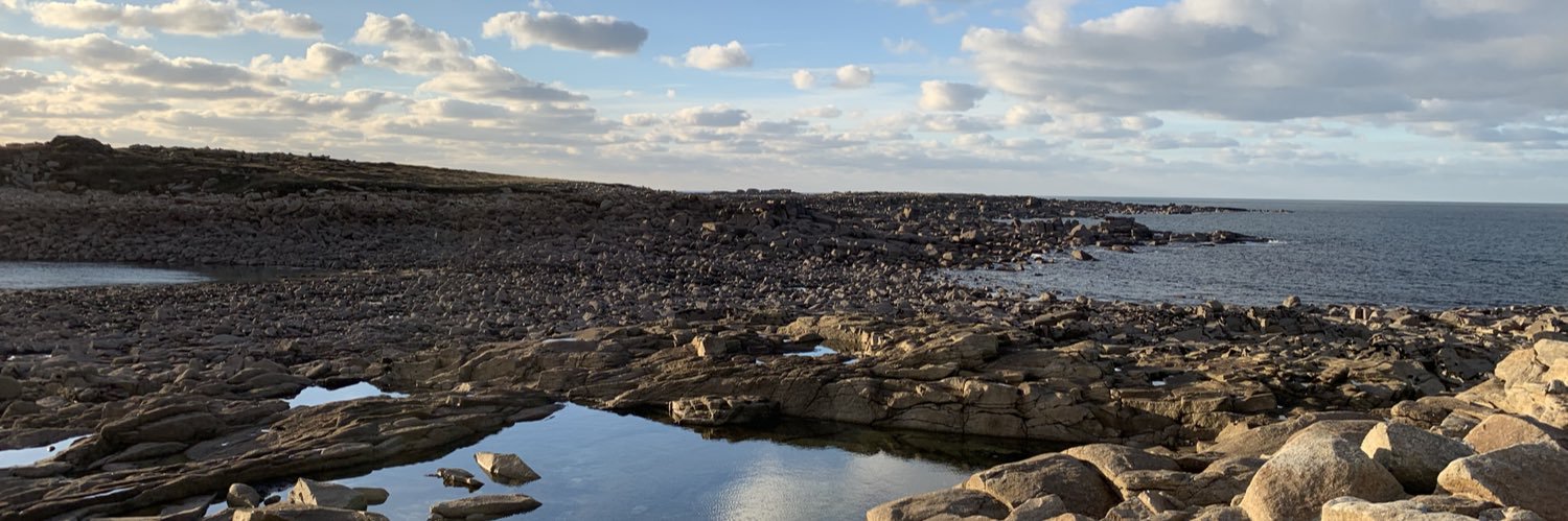 LE GARLES ALAIN banner
