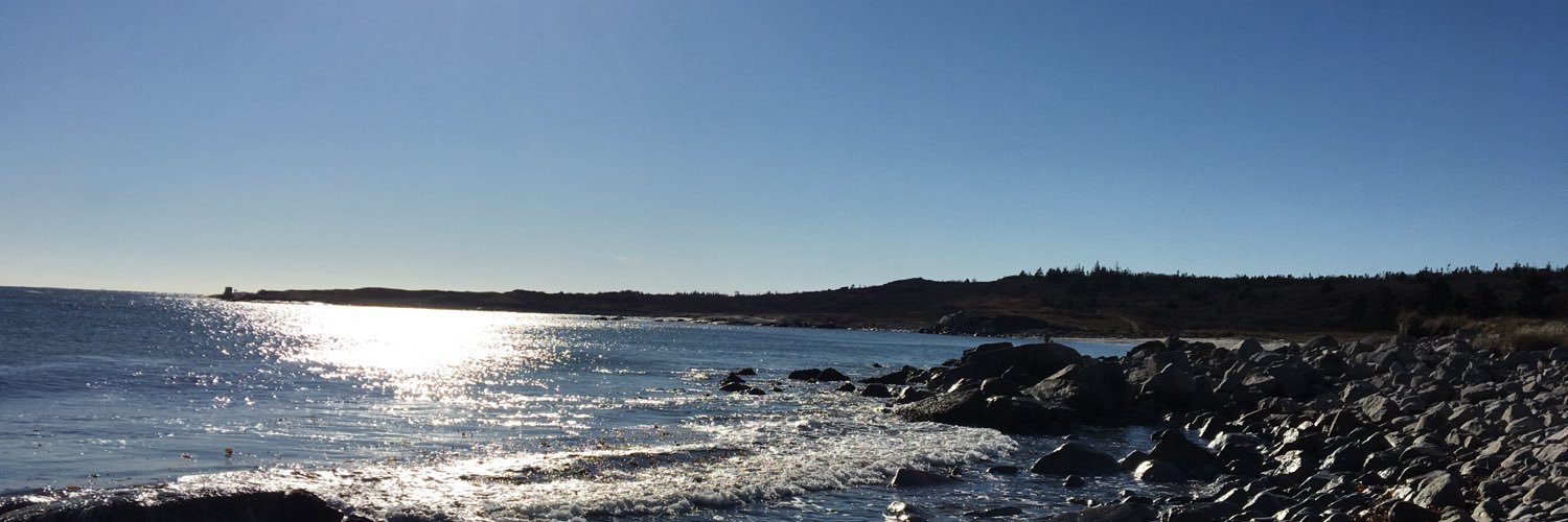 Natasha Ryan banner