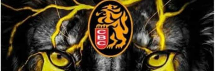 Eulis Catherine 🦁⚾ banner