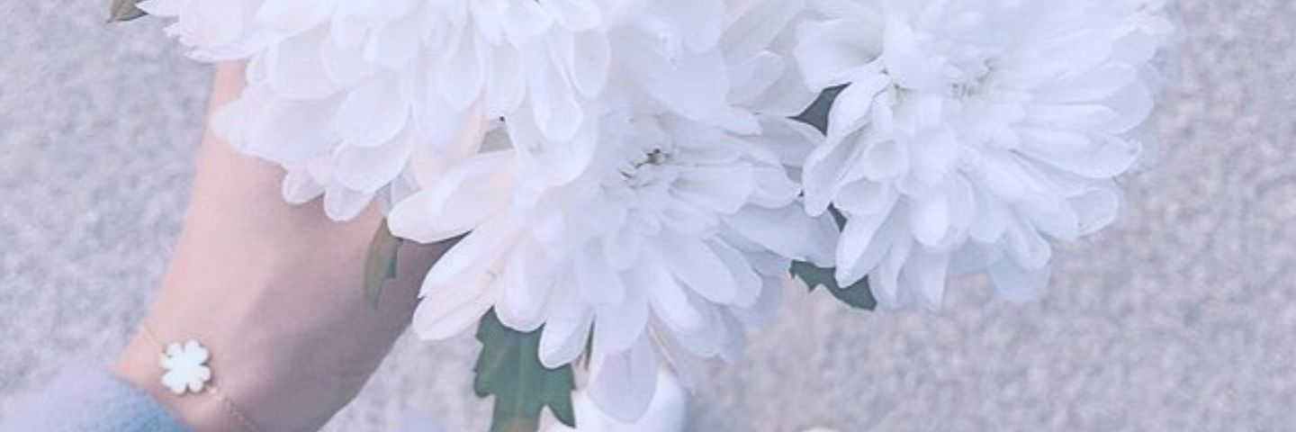 ro_lav's profile banner image