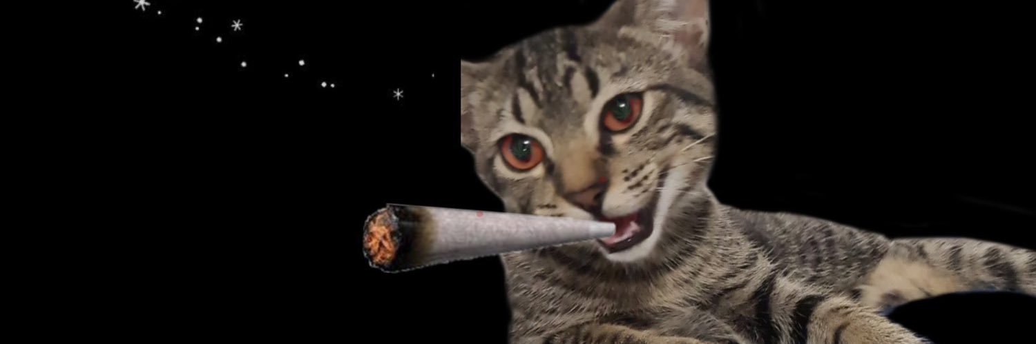 bedoinsta's profile banner image