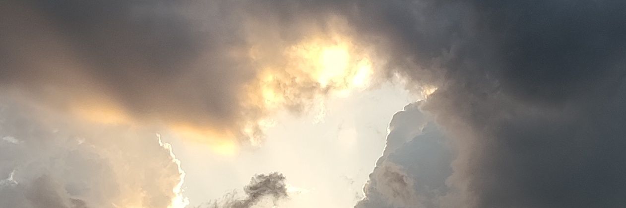 wirdark's profile banner image