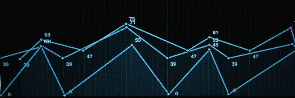 Denise Santos banner