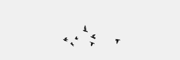 teach_em_up Profile Banner