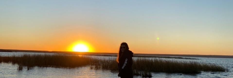 SabriChandia's profile banner image