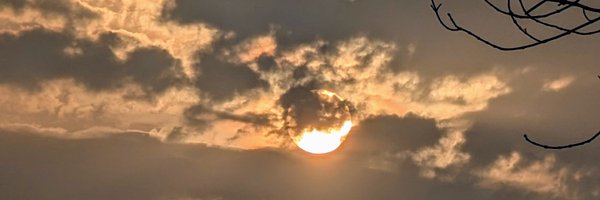 Cryptolanad Profile Banner