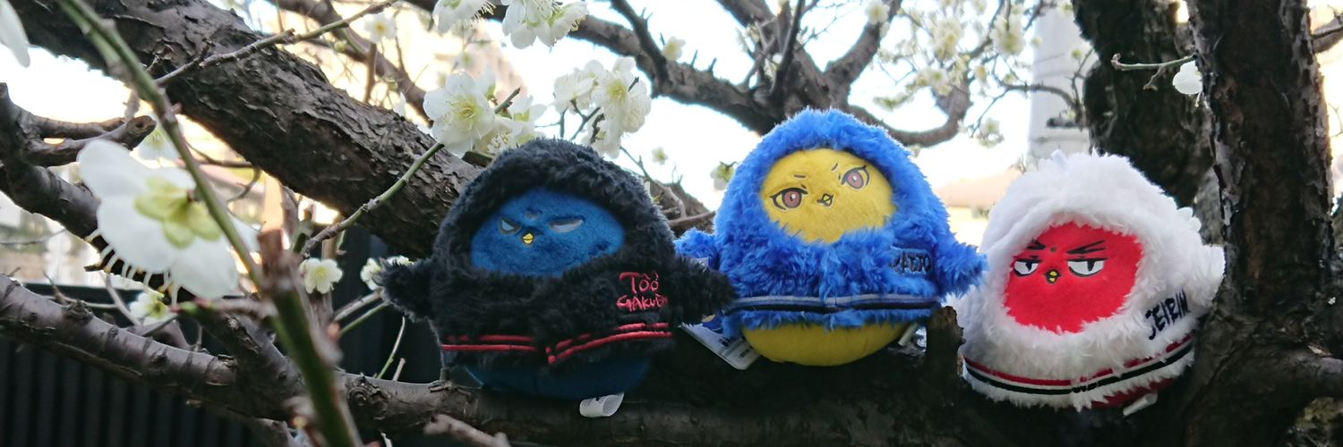 sakorrr's profile banner image