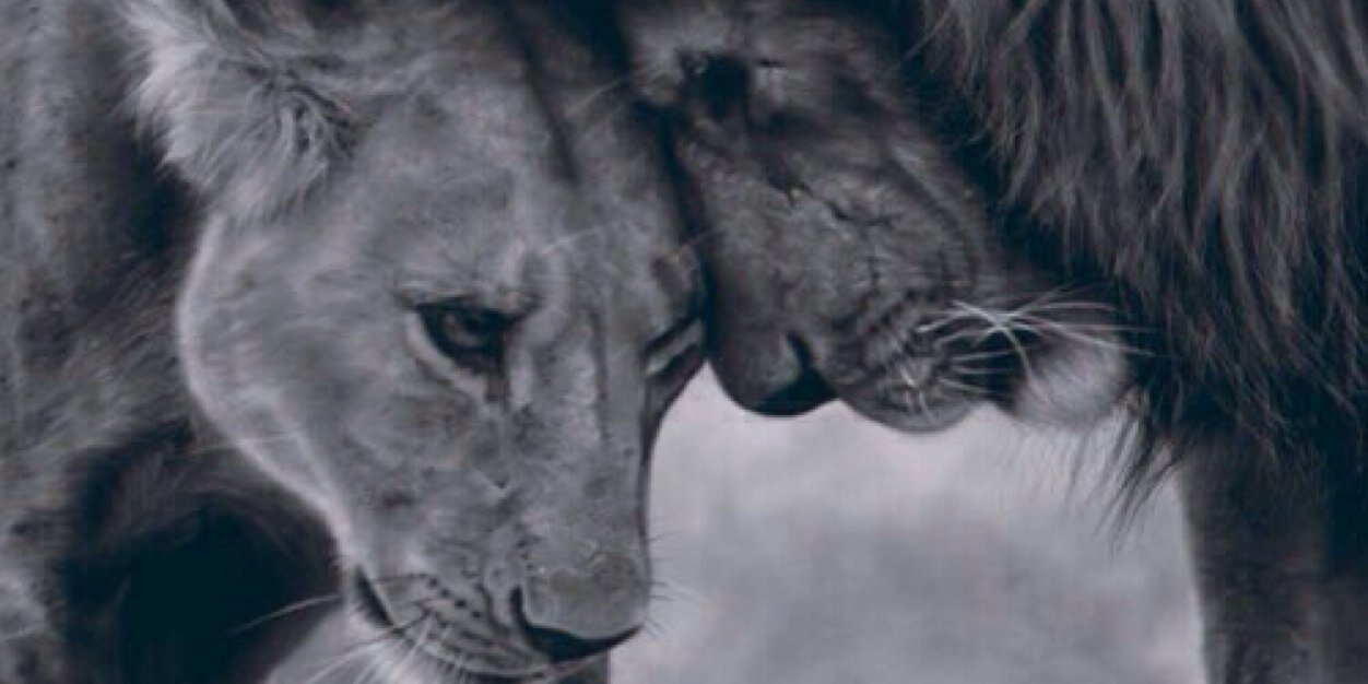 EternalQueens99's profile banner image