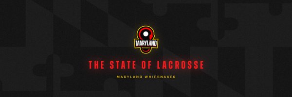 Maryland Whipsnakes Profile Banner