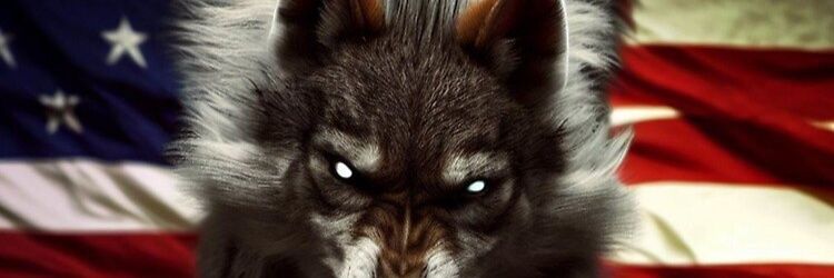 angelwolf9's profile banner image