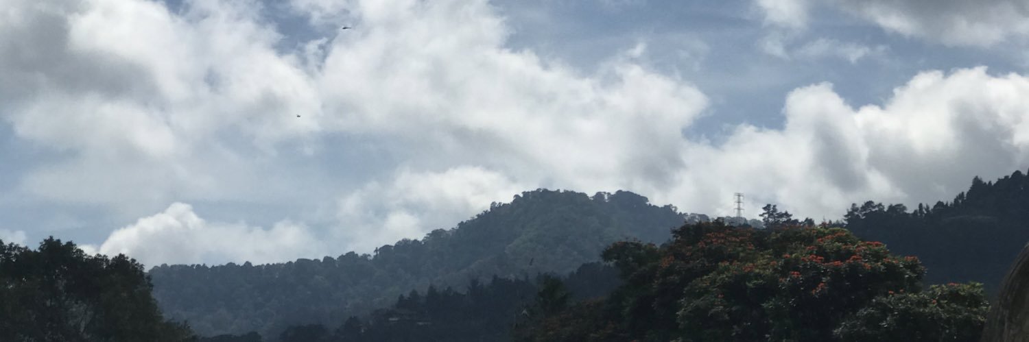 ynt_ayu's profile banner image