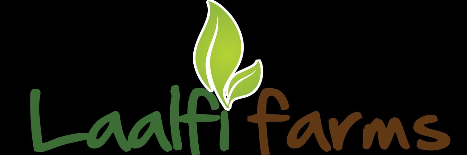 LaalfiF's profile banner image