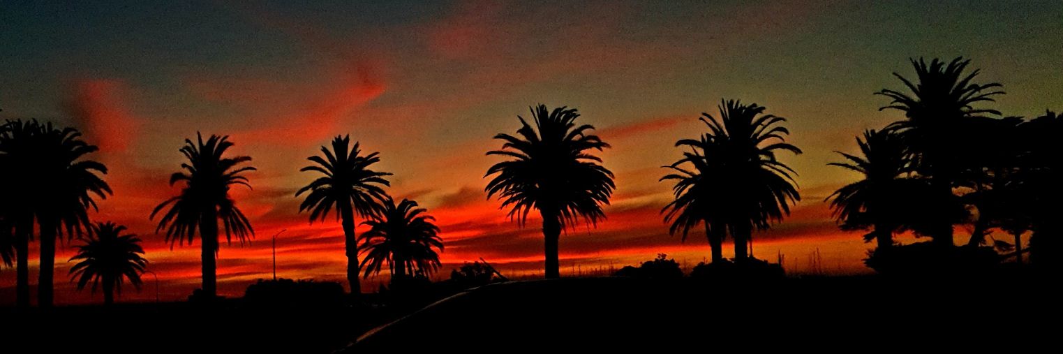 ZunJoniga's profile banner image