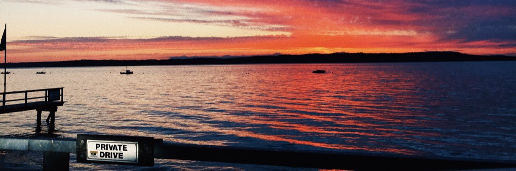 VGalanesi's profile banner image