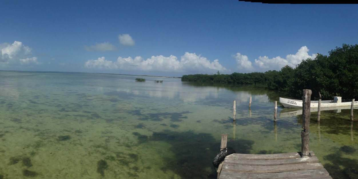 AlvarezMalo's profile banner image