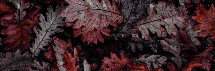 Sefty_KU's profile banner image