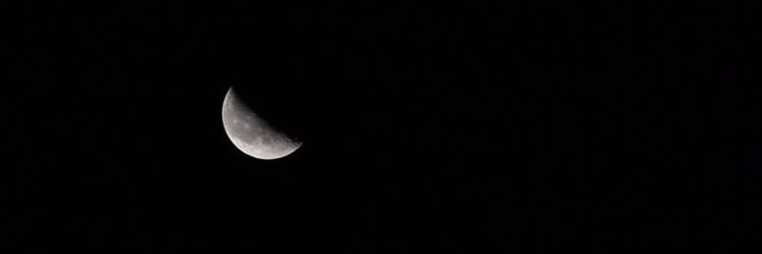 reginamaey's profile banner image
