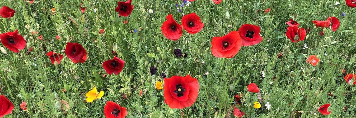 London Fields User Group banner