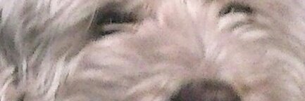 80Villan's profile banner image