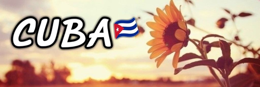 Laura Martínez Suárez 🌻💗🇨🇺 banner