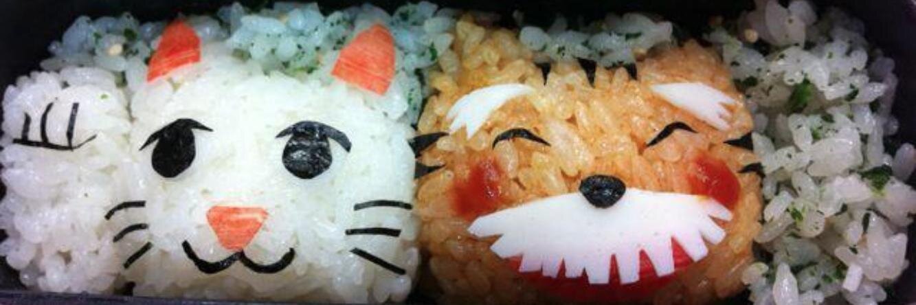 ねこたぬき。 banner