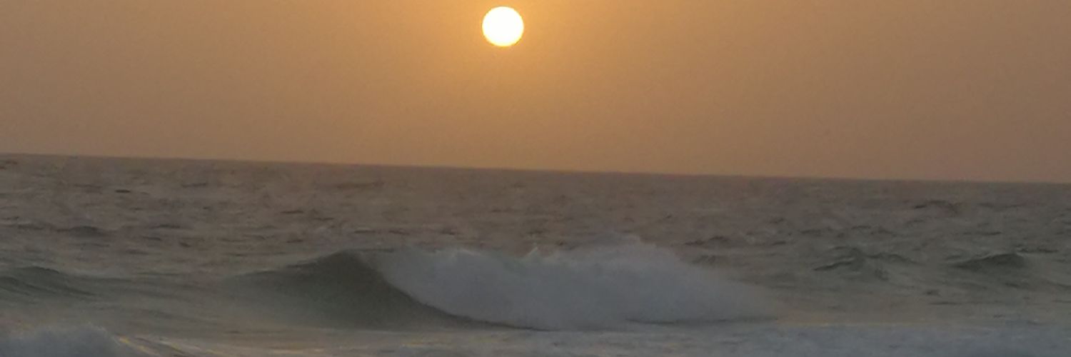 أسعد القاسمي banner