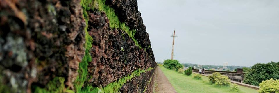sree kumar banner