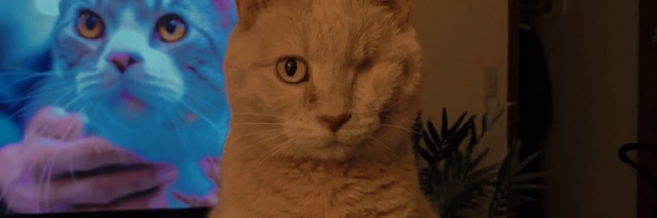 Bobbie A. Hall (she/her) banner