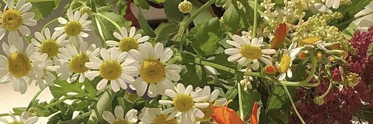 🥨 banner