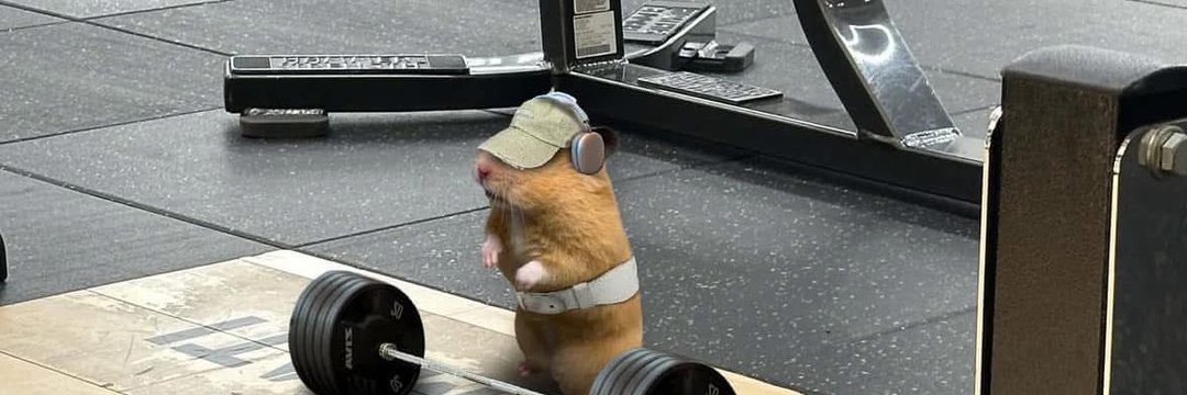 Alangarber5's profile banner image