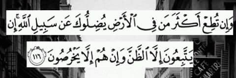 Omar Hashim banner