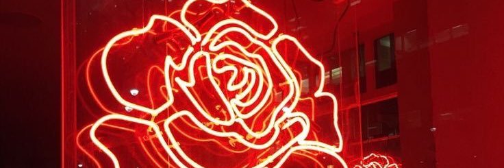 arananicolev's profile banner image