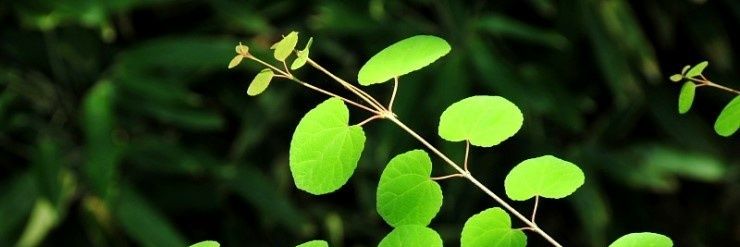 nomalpeple's profile banner image