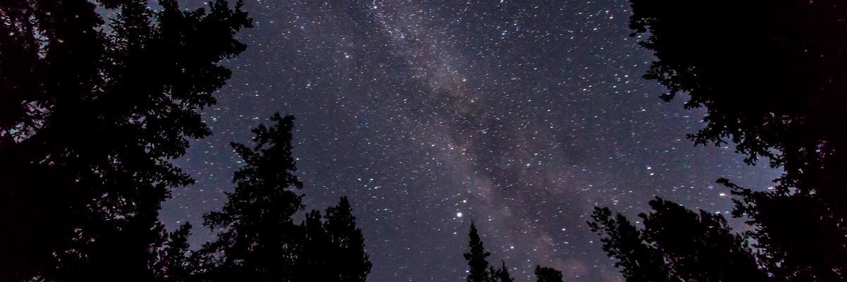 cheetablog's profile banner image
