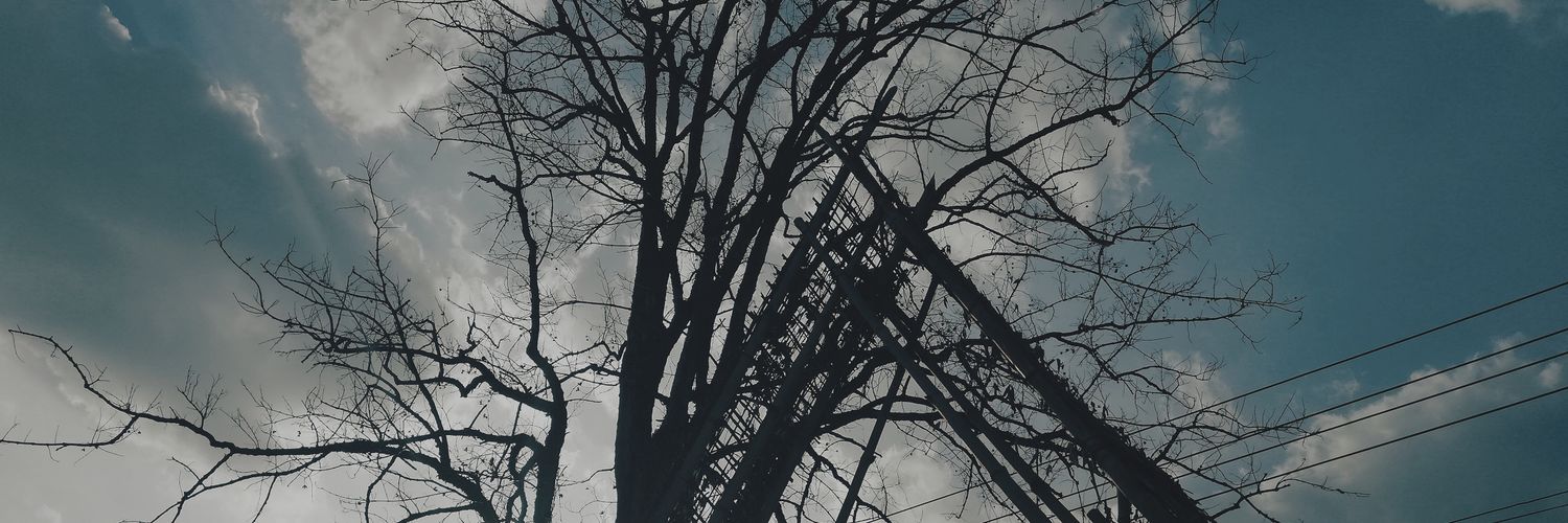 ZPr1912's profile banner image