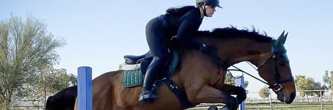 🐾 𝕂𝕒𝕚𝕥 💎 banner