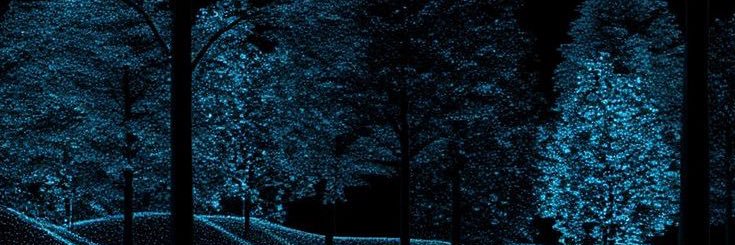 _ADotOfficial's profile banner image