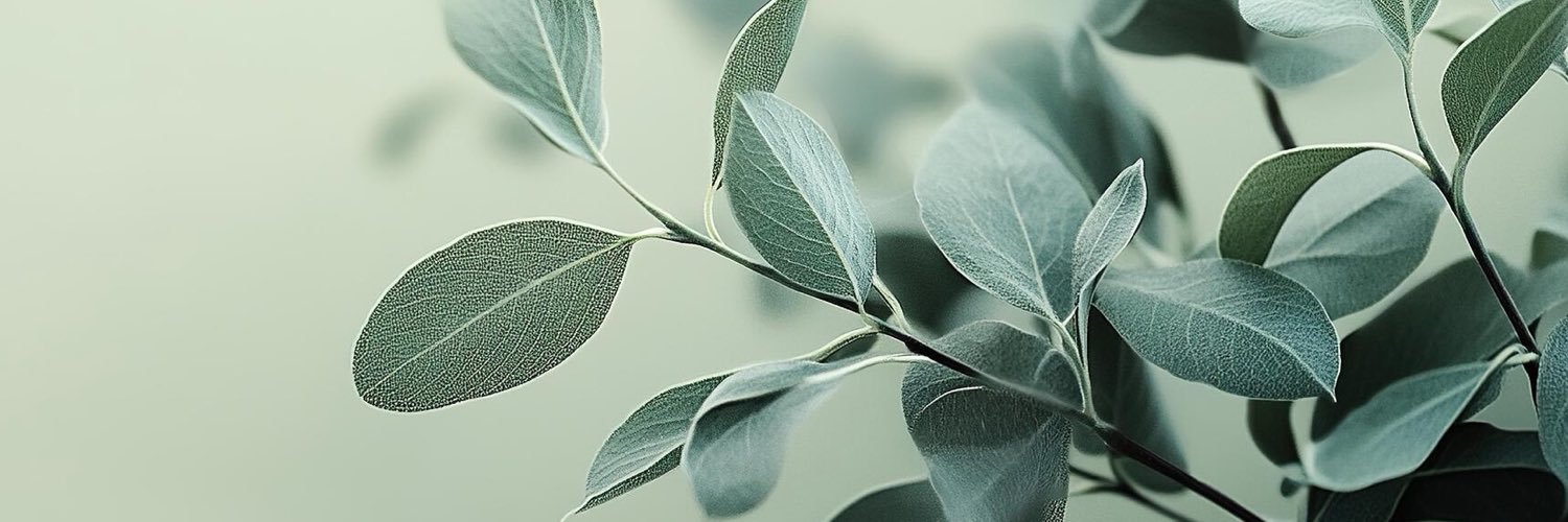 ttina_ca's profile banner image