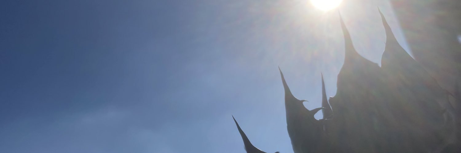 WuGamble's profile banner image