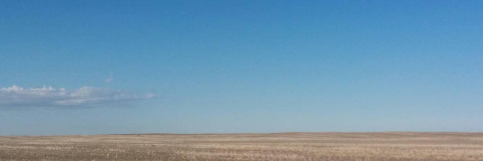 wynndrosinger's profile banner image